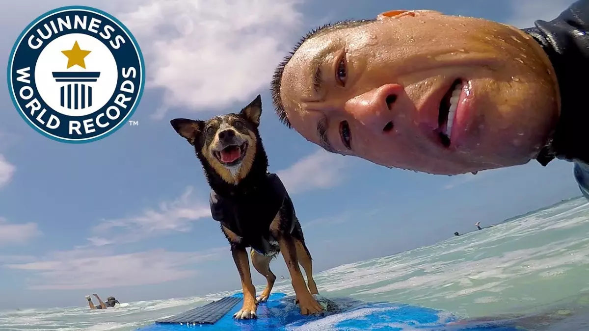 Abbie Girl : le chien qui a surfé la plus longue vague de tous les temps