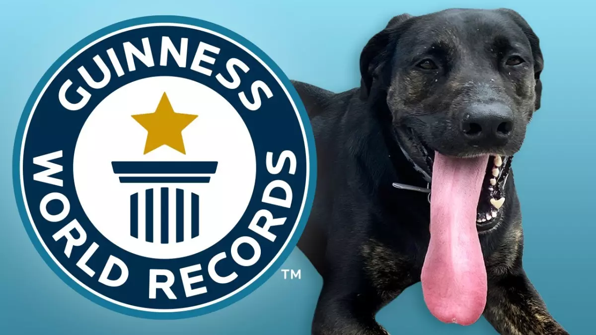 Découvrez l'incroyable record du chien au monde avec la langue la plus longue !