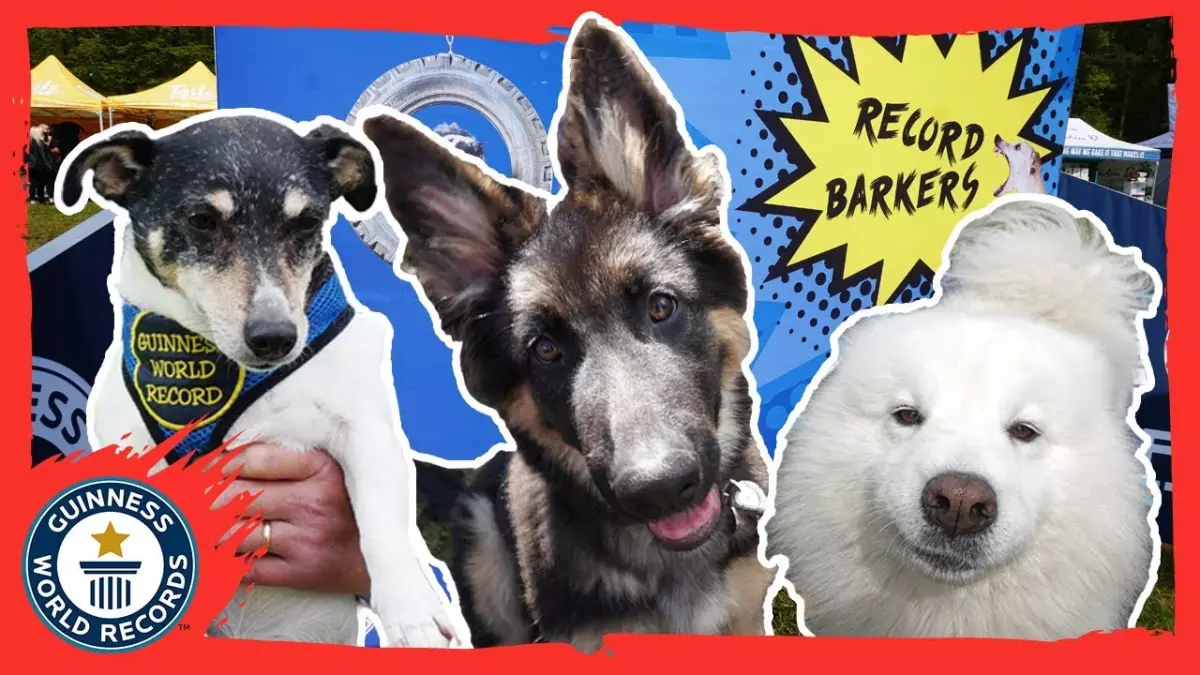 Incroyable exploit au DogFest : des records du monde canins battus!
