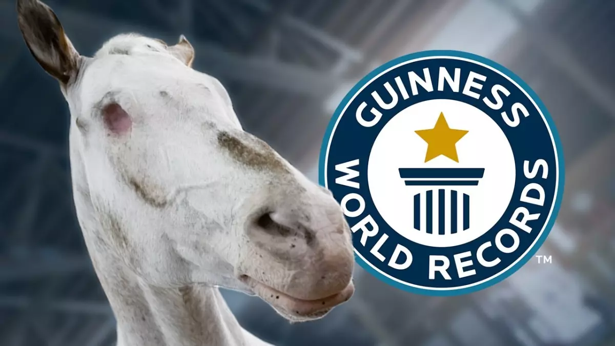Incroyable exploit : Un cheval aveugle bat trois records du monde Guinness