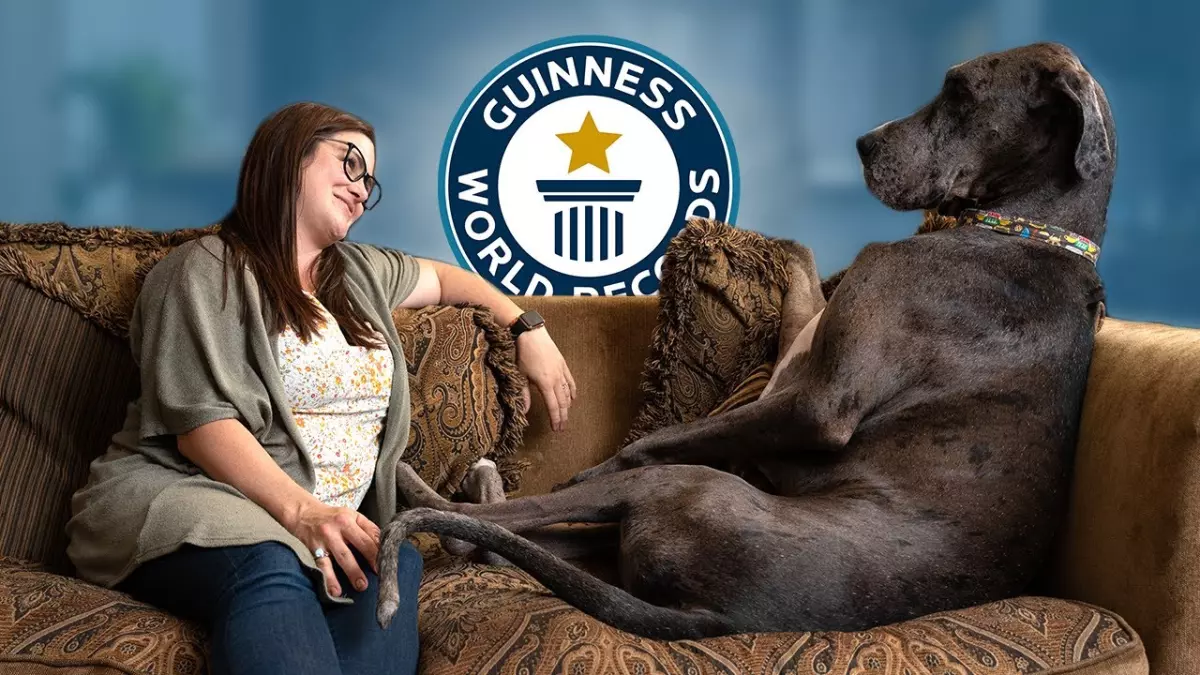 Record du monde Guinness : Zeus, le plus grand chien du monde