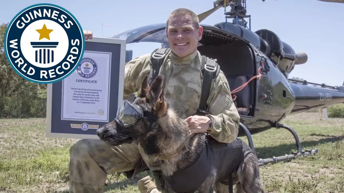 Un chien héroïque sauve la faune sauvage en sautant en parachute