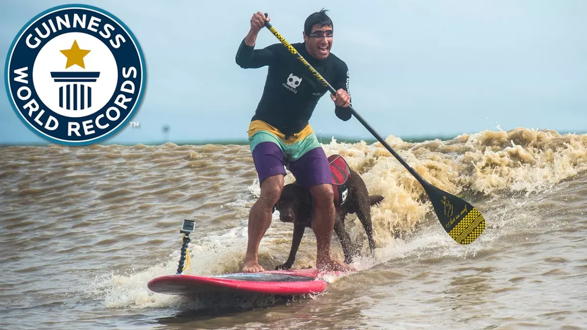 Un record Guinness incroyable : l'exploit sensationnel d'un homme et son chien en paddleboard